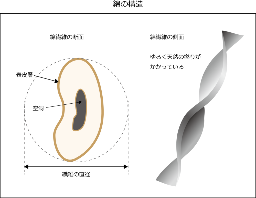 豆知識 ブランケットに使われる繊維 綿の魅力とその理由 米阪パイル織物株式会社